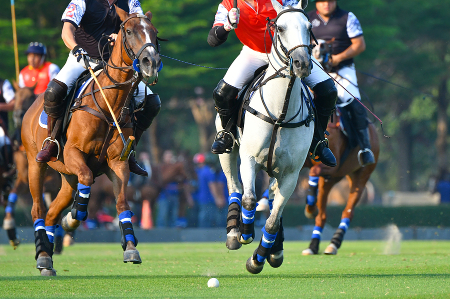 Polo in the Park Patron Hospitality
