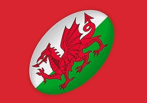 Wales vs Ireland, Hospitality & Hotel