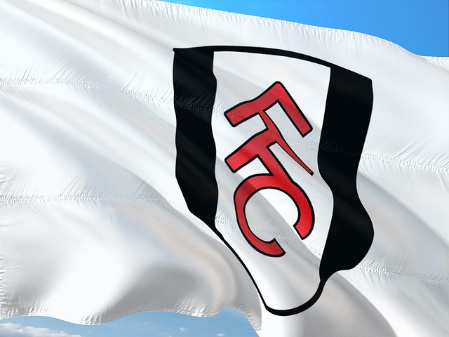 Fulham vs Hull City Hospitality